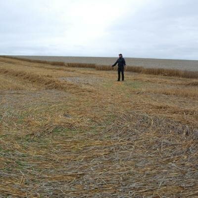 Přesto, že byl piktogram záměrně zničen,zůstal velmi silným zářičem