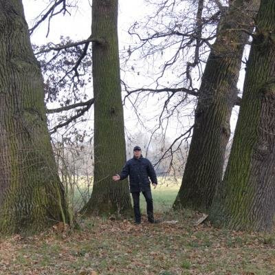 PCH v přirozeném posvátném háji na Jižní Moravě. Vytváří se zde velice silný, energetický vír - každý strom funguje jako mocný generátor energie a zároveň se stromy spojují do jediného energetického celku