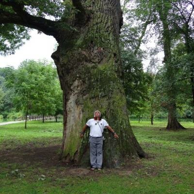 Slavný andský šaman Don Sergio se na Jižní Moravě napojuje na vědomí stromu