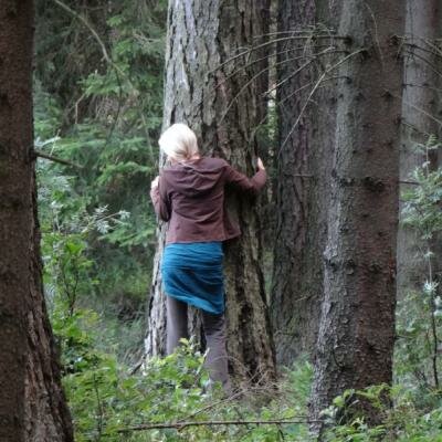 Některé stromy - např smrk - vytvářejí velmi silná pole kolektivní energie,která mají na člověka nesmírně příznivý účinek. Během semináře PCH v brdských lesích