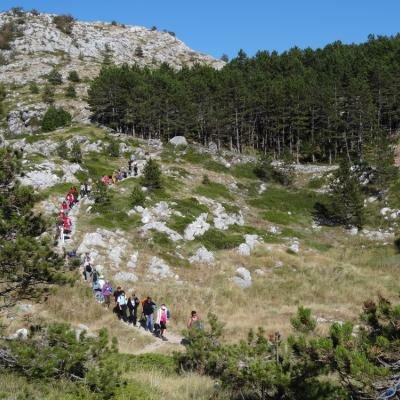 Účastníci léčebného semináře procházejí silovou zónou