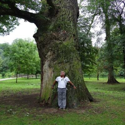 Don Sergio se hluboce propojuje se starým dubem poblíž Lednice